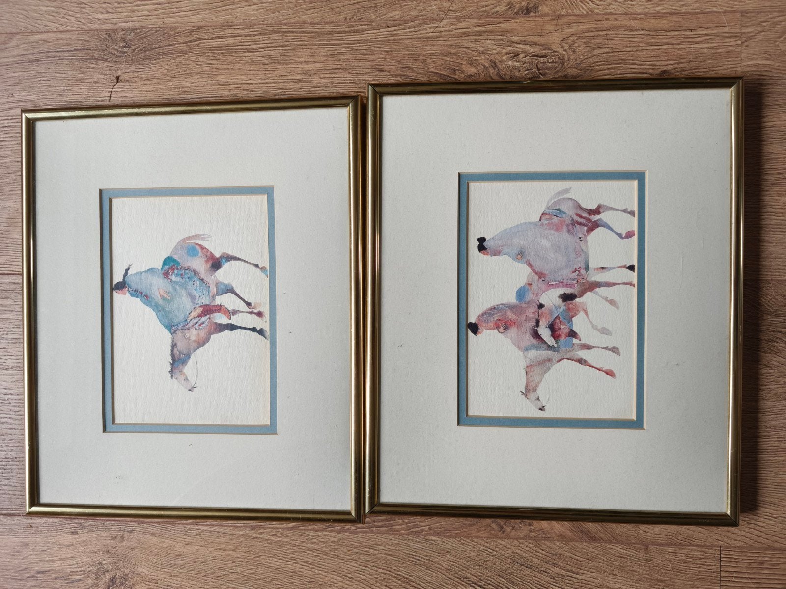 Native American Prints in messing kleurige lijst, Gebruikt, 32 cm, Verwisselbare inhoud, Ophalen of Verzenden