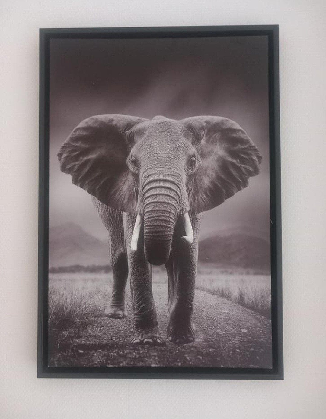 canas olifant, Ophalen, Schilderij