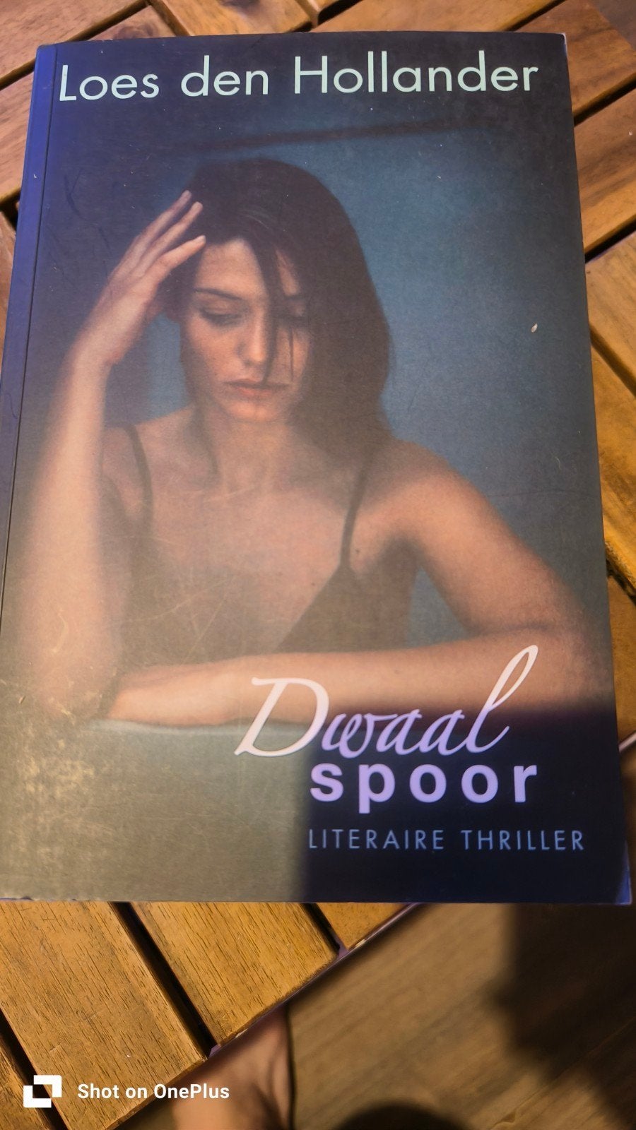 Dwaalspoor - Literaire thriller van Loes den Hollander, Ophalen of Verzenden