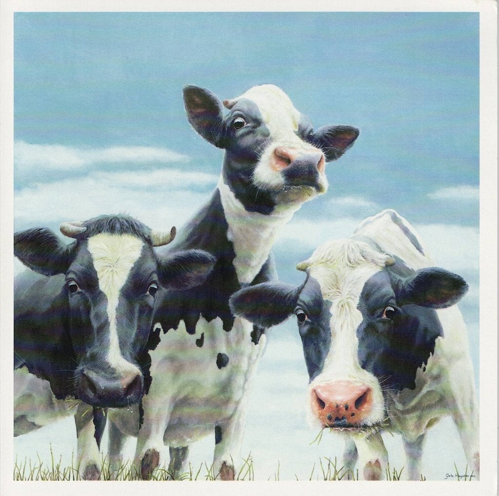 Koeien op Canvas 306, Verzamelen, Ansichtkaarten | Dieren, Verzenden, 1980 tot heden, Gelopen, Overige soorten