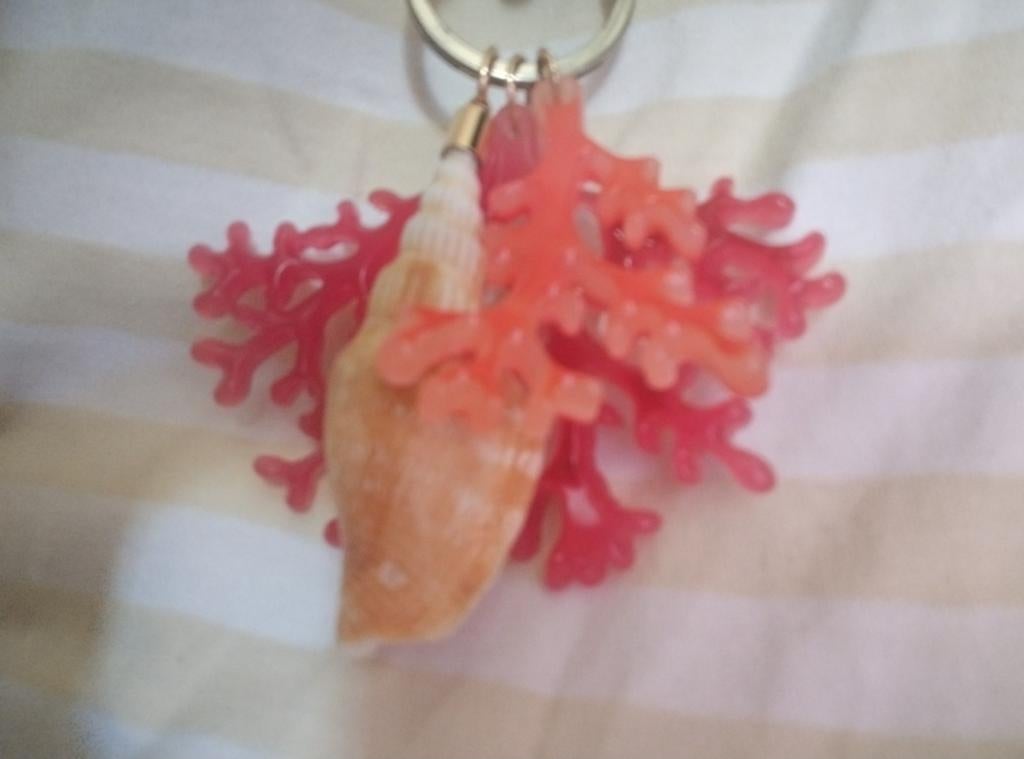 Koraal & Schelp Hanger met Stalen Ketting, Gebruikt, Ophalen of Verzenden, Rood, Overige materialen