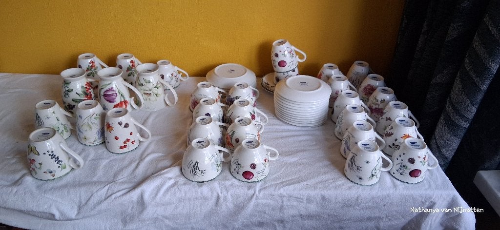 Janneke Brinkman Thee/koffie servies, Huis en Inrichting, Ophalen, Overige merken, Zo goed als nieuw, Overige stijlen