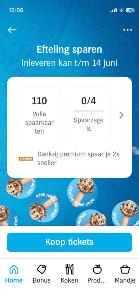 Volle Efteling spaarkaarten - Korting op tickets!, Ophalen, Nieuw, Overige typen
