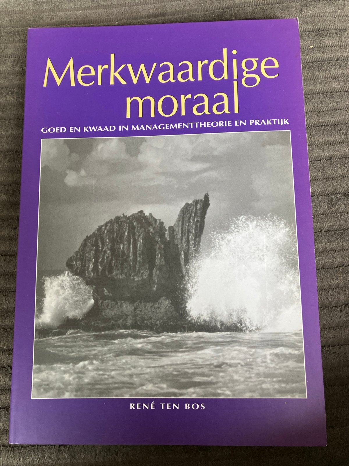 Merkwaardige moraal - René ten Bos (Management), Ophalen of Verzenden, Zo goed als nieuw, Nederland