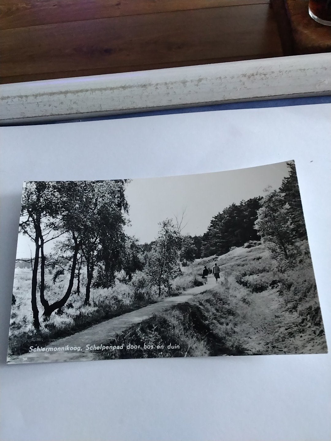 SCHIERMONNIKOOG. SCHELPENPAD door bos en duin, Ophalen of Verzenden, 1960 tot 1980, Zeeland