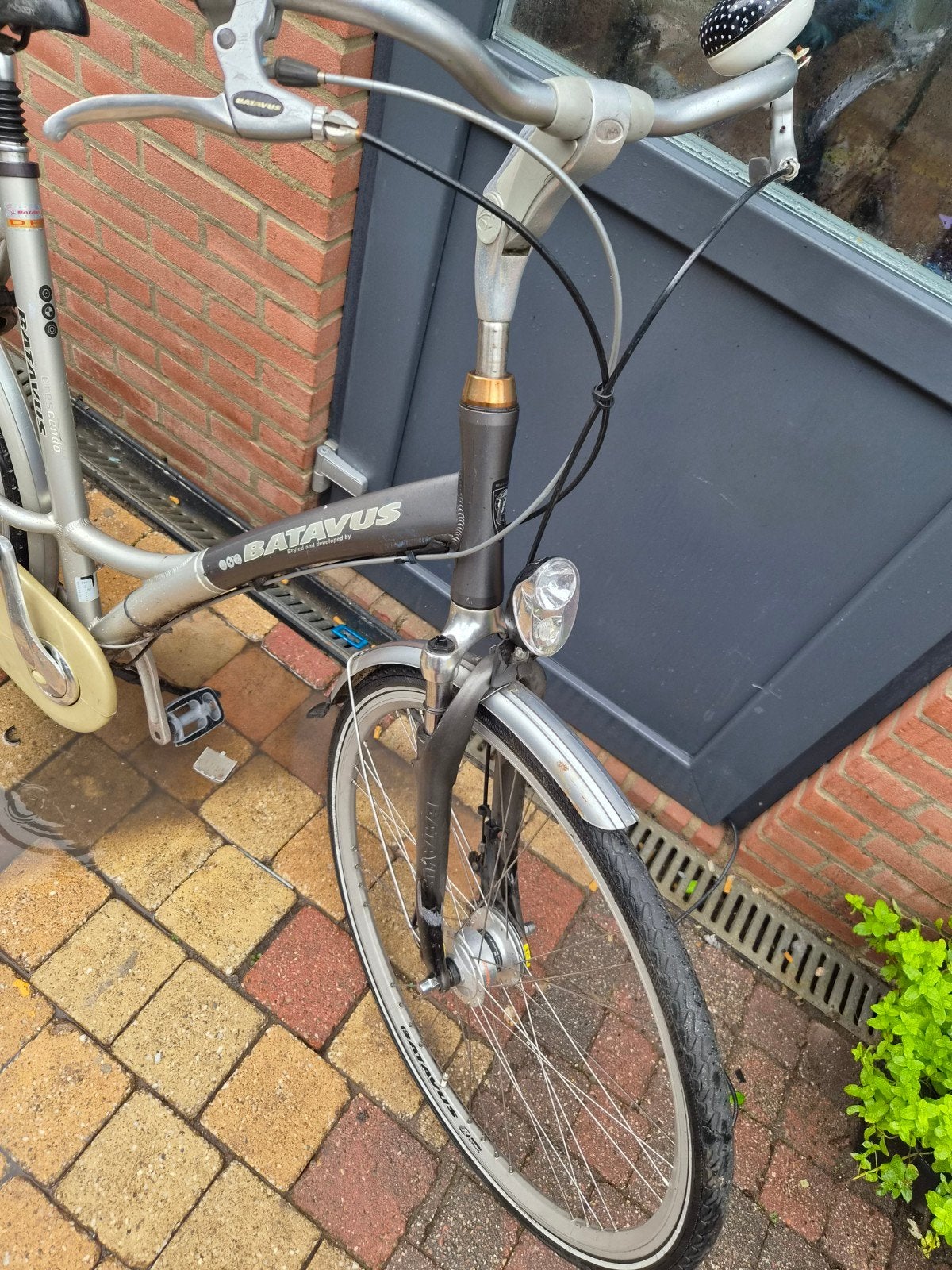 Batavus damesfiets - Ideaal voor dagelijks gebruik, Ophalen, Gebruikt, Batavus