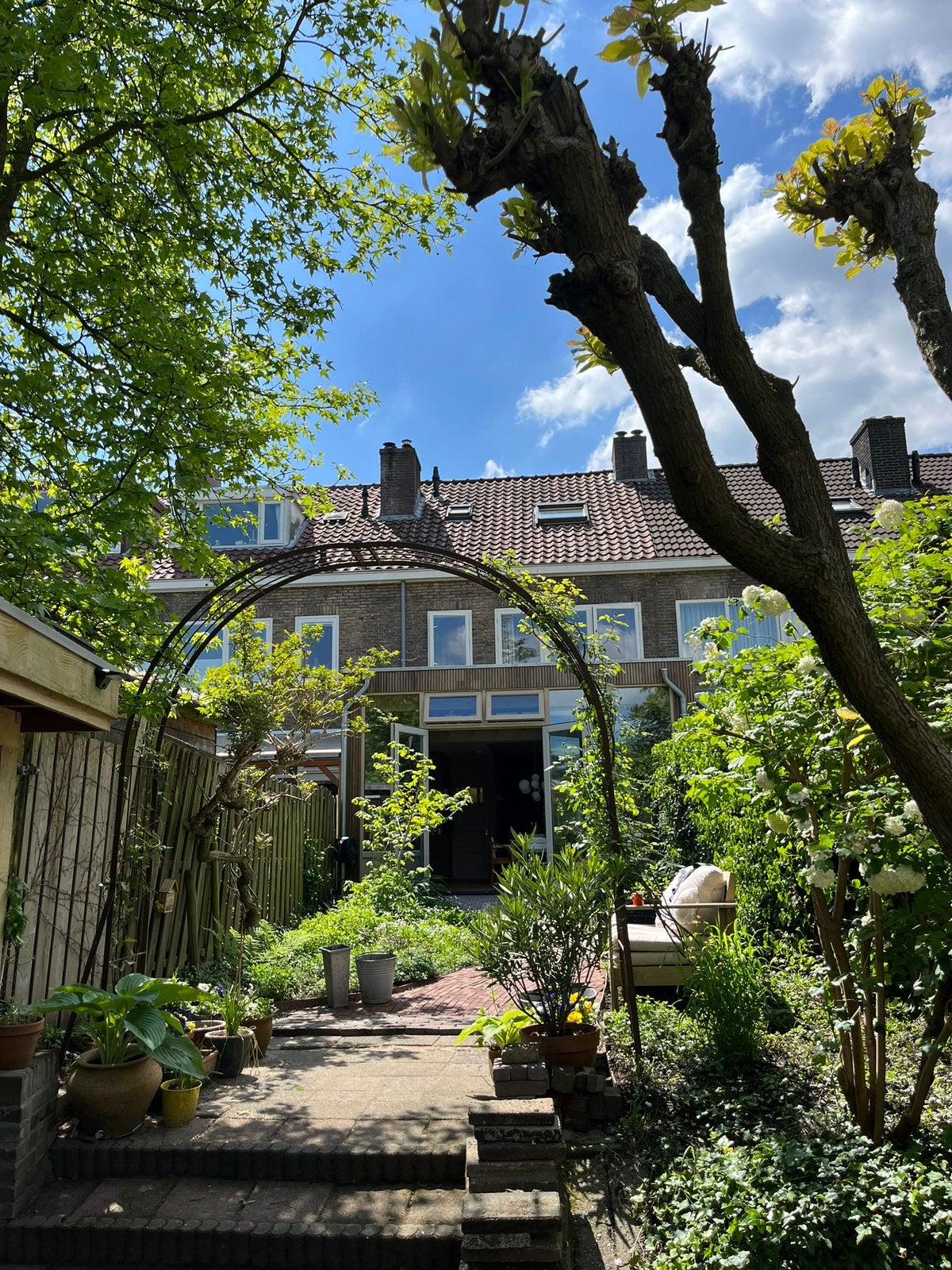 Rozenboog (evt inc mooie geurende roos), Ophalen