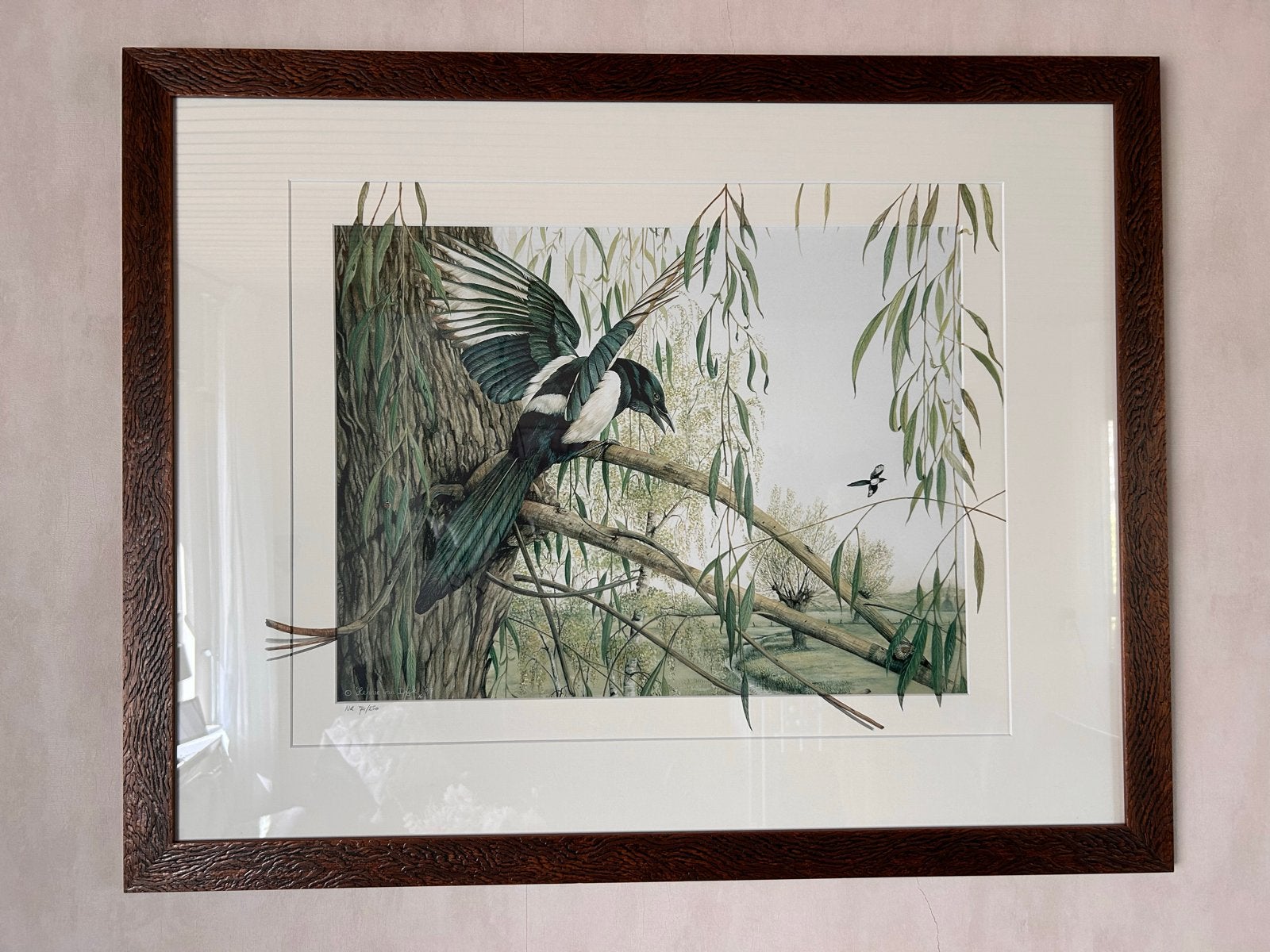 Unieke Gekaderde Ekster Print - Hernie van Dijk '97, Ophalen