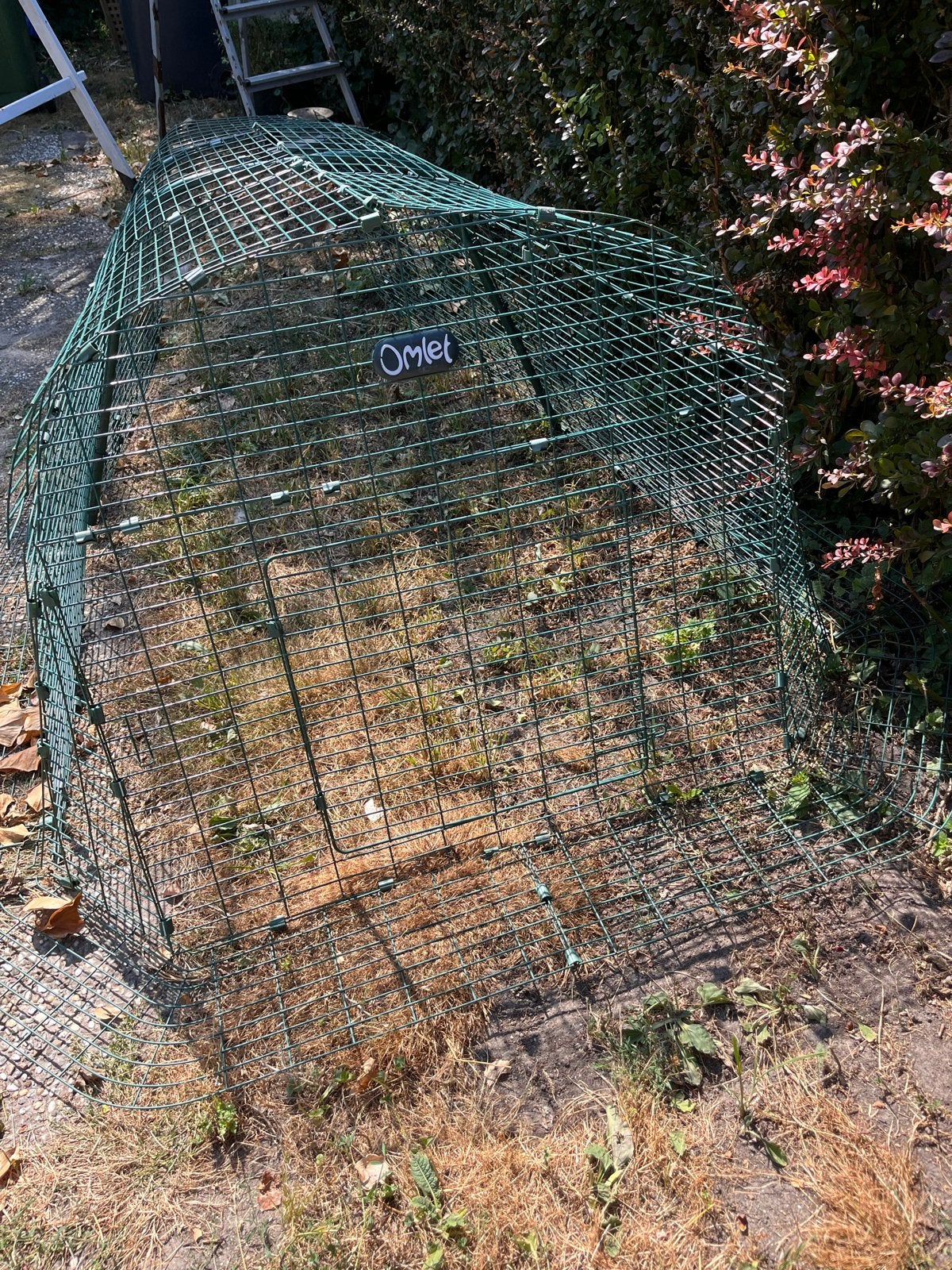 Omlet kippenren er zit geen kippenhok bij, Dieren en Toebehoren, Pluimvee | Toebehoren, Ophalen of Verzenden, Kippenhok of Kippenren
