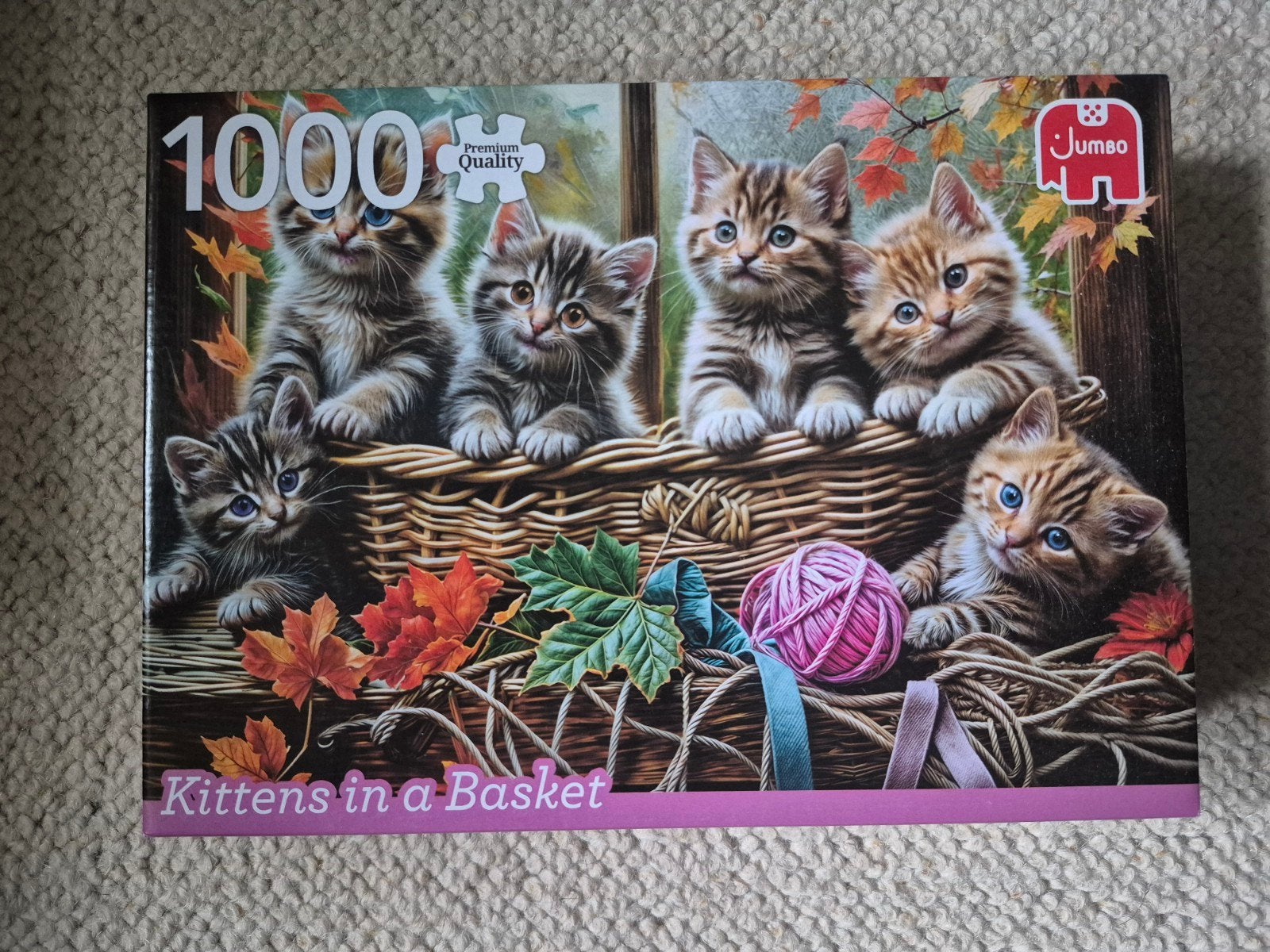Jumbo Legpuzzel 1000 stukjes - Kittens in een mand, Ophalen, 500 t/m 1500 stukjes, Zo goed als nieuw, Legpuzzel