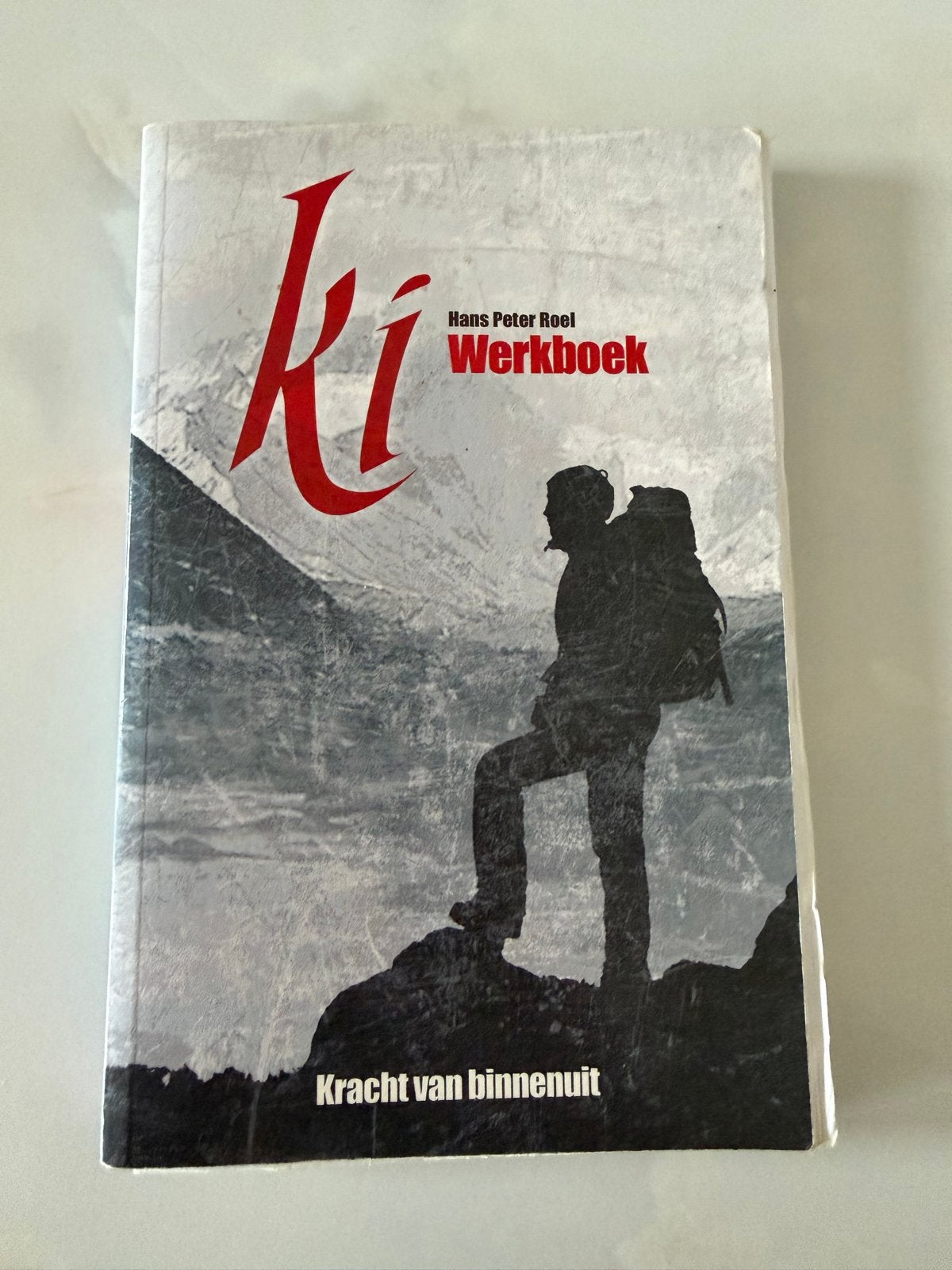 Ki Werkboek - Kracht van binnenuit - Hans Peter Roel, Boeken, Ophalen of Verzenden, Gelezen, Spiritualiteit algemeen, Instructieboek