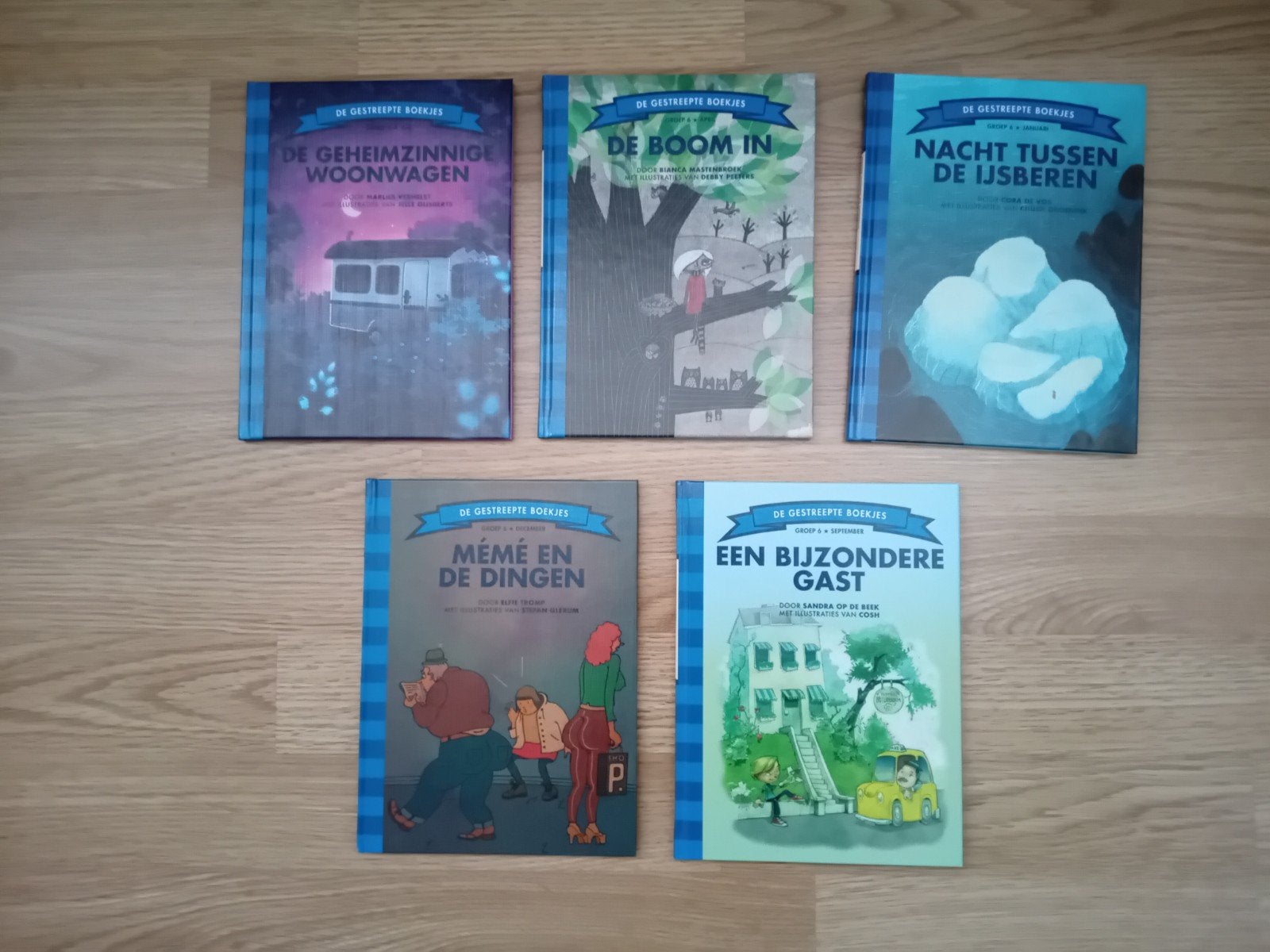 5 borre boekjes - groep 6, Boeken, Kinderboeken | Jeugd | onder 10 jaar, Ophalen of Verzenden, Zo goed als nieuw, Fictie algemeen