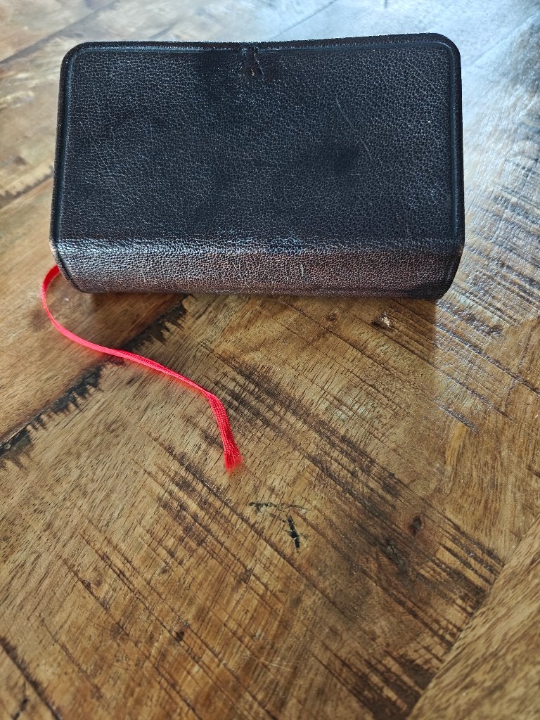Het Nieuwe Testament 1884 - Antiek Bijbelboek, Antiek en Kunst, Ophalen of Verzenden