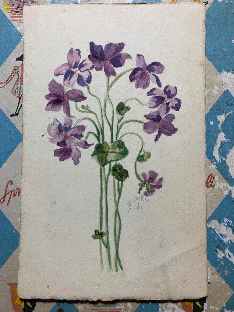 Paarse bloemen (RR), Verzamelen, Ansichtkaarten | Themakaarten, Ophalen of Verzenden, Voor 1920, Ongelopen, Overige thema's