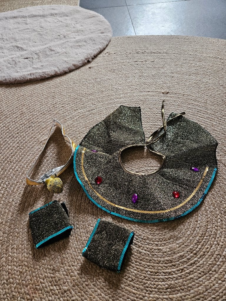 Cleopatra accessoires, Ophalen of Verzenden, Zo goed als nieuw, Carnaval