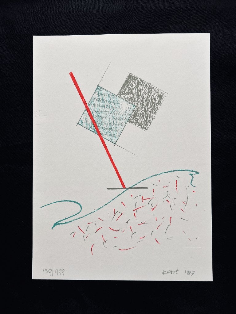 Zeefdruk Hannes Postma  ZOMEROPRUIMING, Antiek en Kunst, Kunst | Litho's en Zeefdrukken, Origineel, Ophalen of Verzenden, Zeefdruk