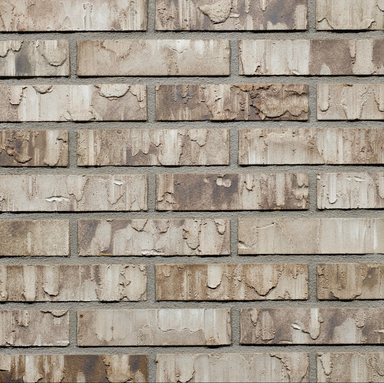 Gezocht: Wienerberger Birchwood SP WF (ca. 3.000 stuks), Doe-het-zelf en Verbouw, Ophalen of Verzenden, Nieuw, Bakstenen