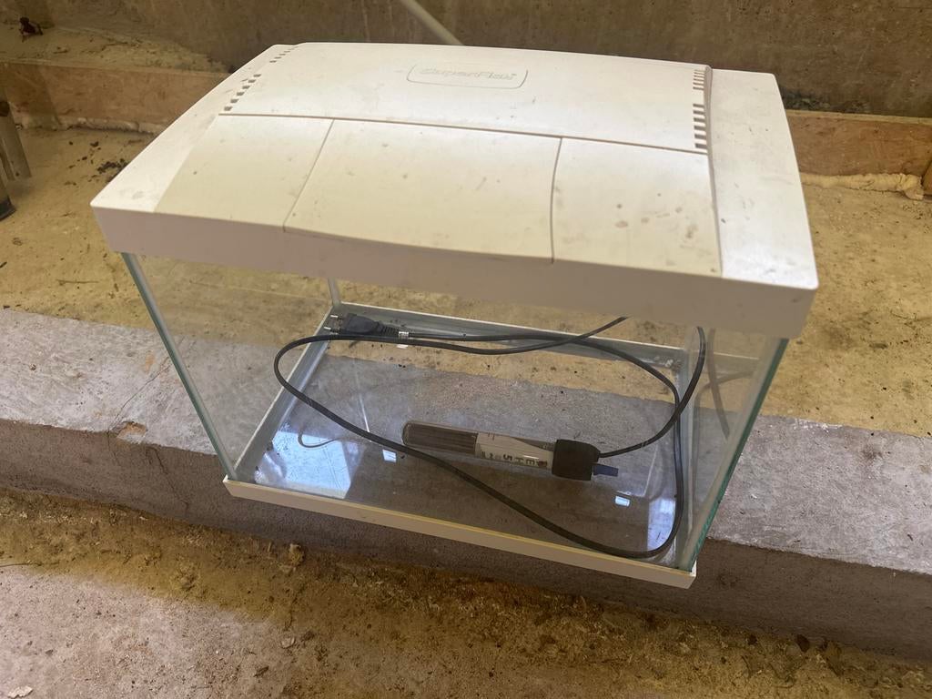 Aquarium Superfish 22x25x40, Ophalen, Gebruikt, Leeg aquarium, Superfish
