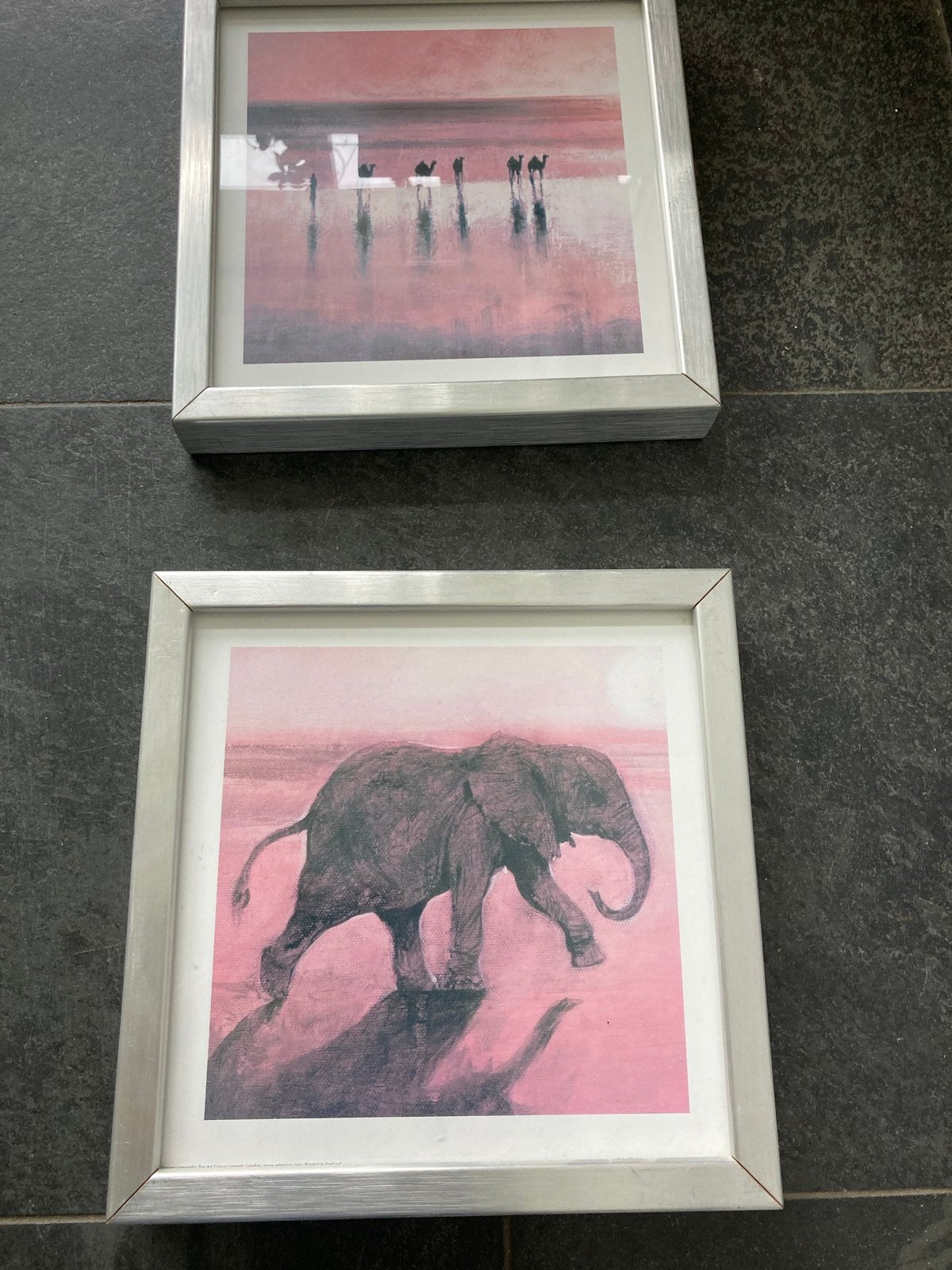 Set van 2 IKEA RIBBA fotolijsten met dierenprints, Ophalen, Gebruikt, Fotolijst, Metaal