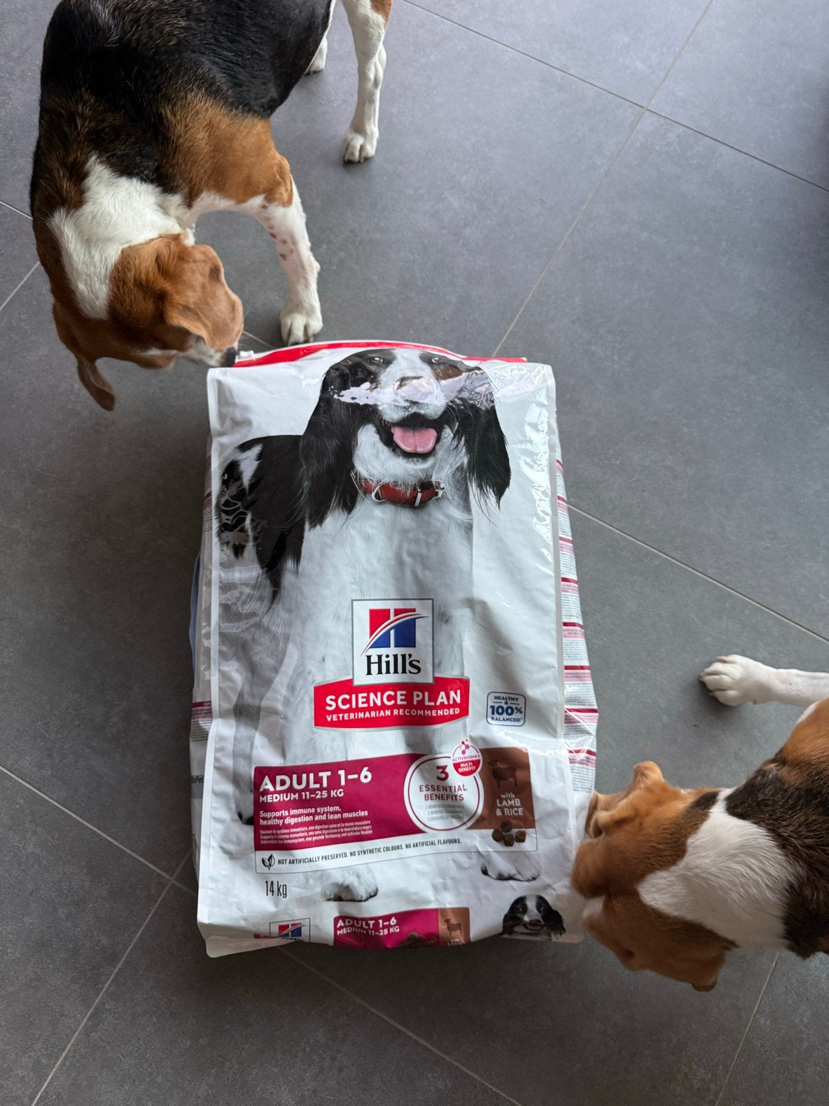 2 zakken Hondenbrokken Hills kip en lam, Dieren en Toebehoren, Dierenvoeding, Ophalen, Hond