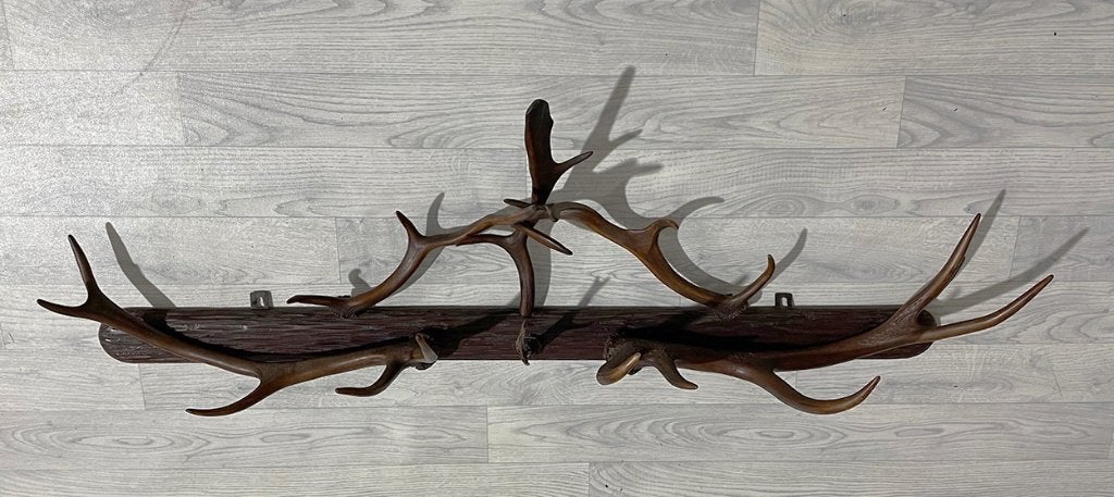 Oude houten GEWEI KAPSTOK - 132 cm breed, Overige materialen, Gebruikt, Nvt, Minder dan 100 cm