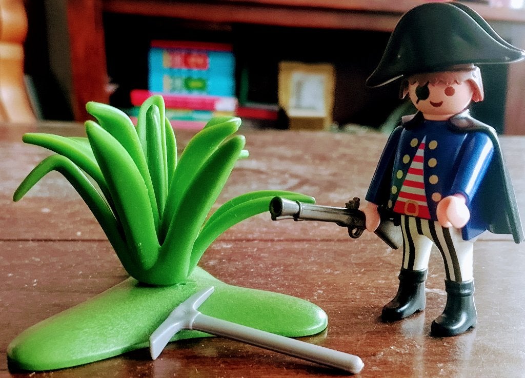 Piraat Met Ooglap Met Geweer En Struik, Ophalen of Verzenden, Gebruikt, Losse onderdelen