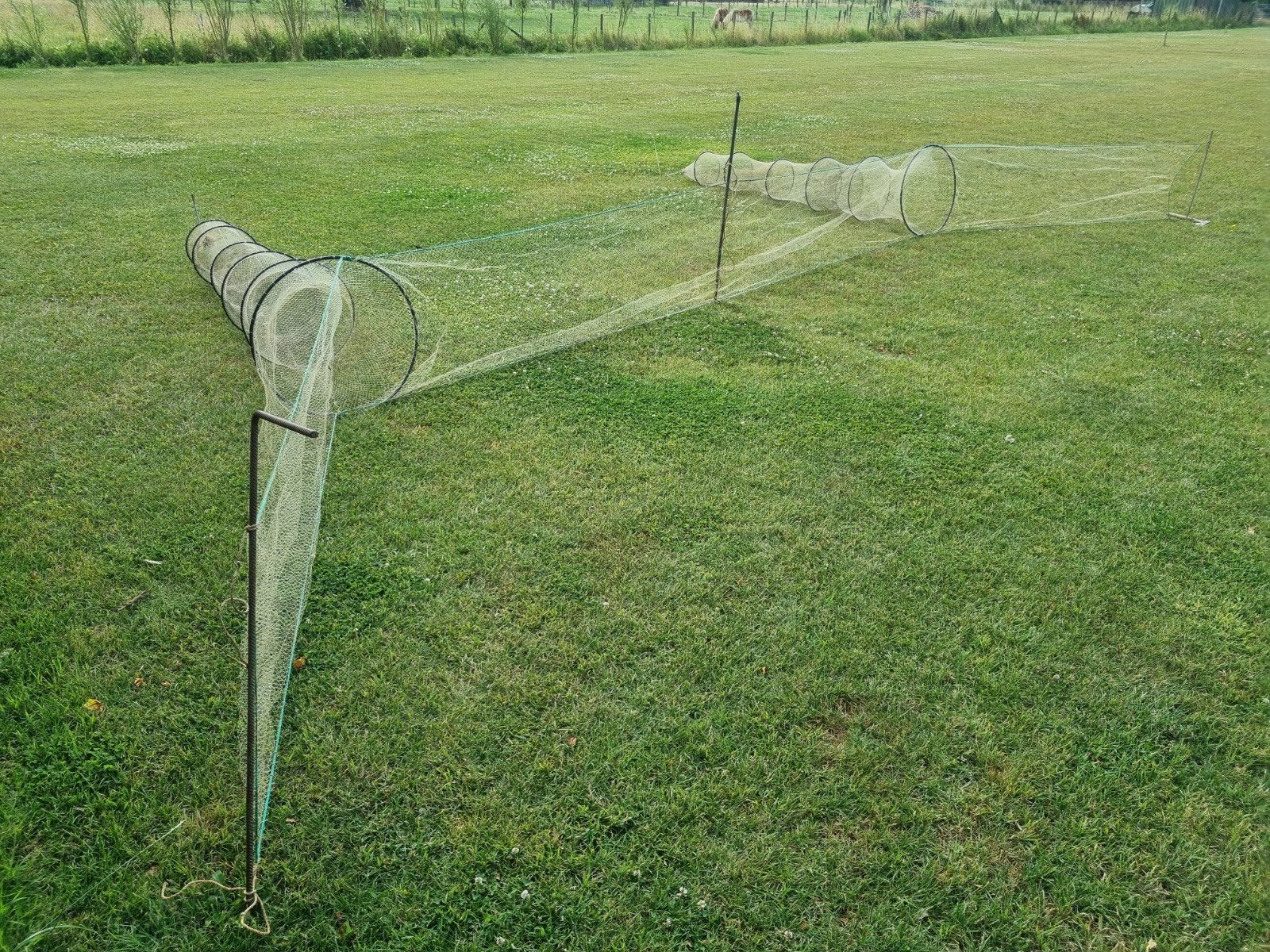 Fuik., Ophalen of Verzenden, Gebruikt, Net of Fuik