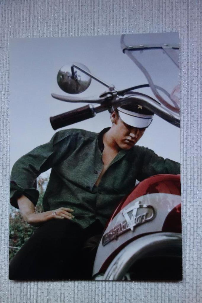 Briefkaarten afbeelding Elvis Presley, Ophalen of Verzenden, Nieuw, Foto of Kaart