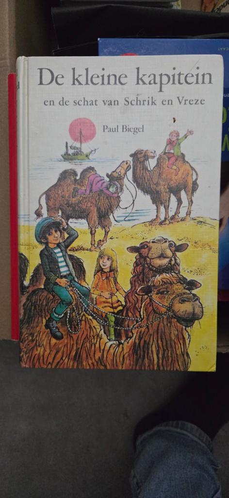 De kleine kapitein en de schat van Schrik en Vreze, Boeken, Paul Biegel, Fictie algemeen, Ophalen of Verzenden, Zo goed als nieuw