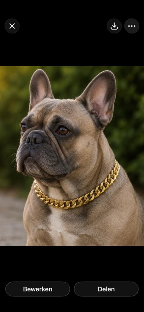 Gouden /zilver kleurig honden halsband, Ophalen of Verzenden, Nieuw
