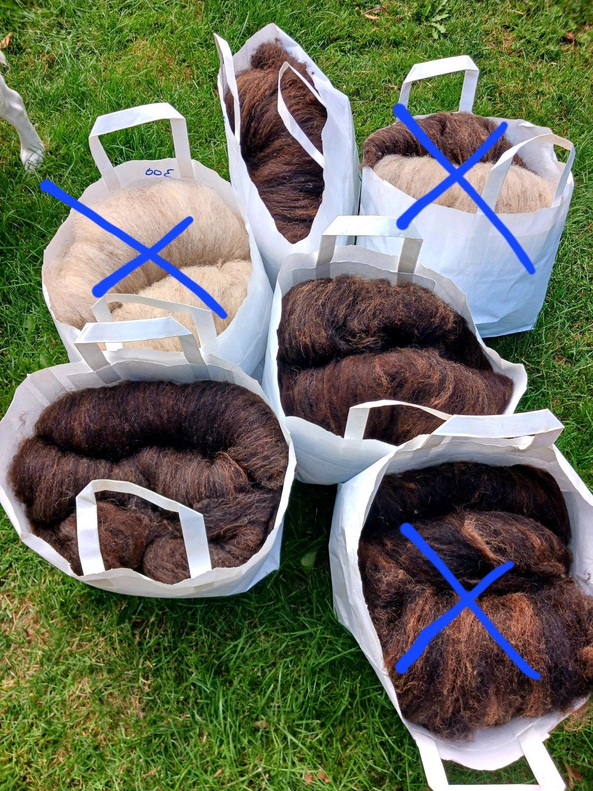 Mooie gekaarde wol van het Oussant schaap., Ophalen of Verzenden, Nieuw, Breien of Haken, Wol of Garen