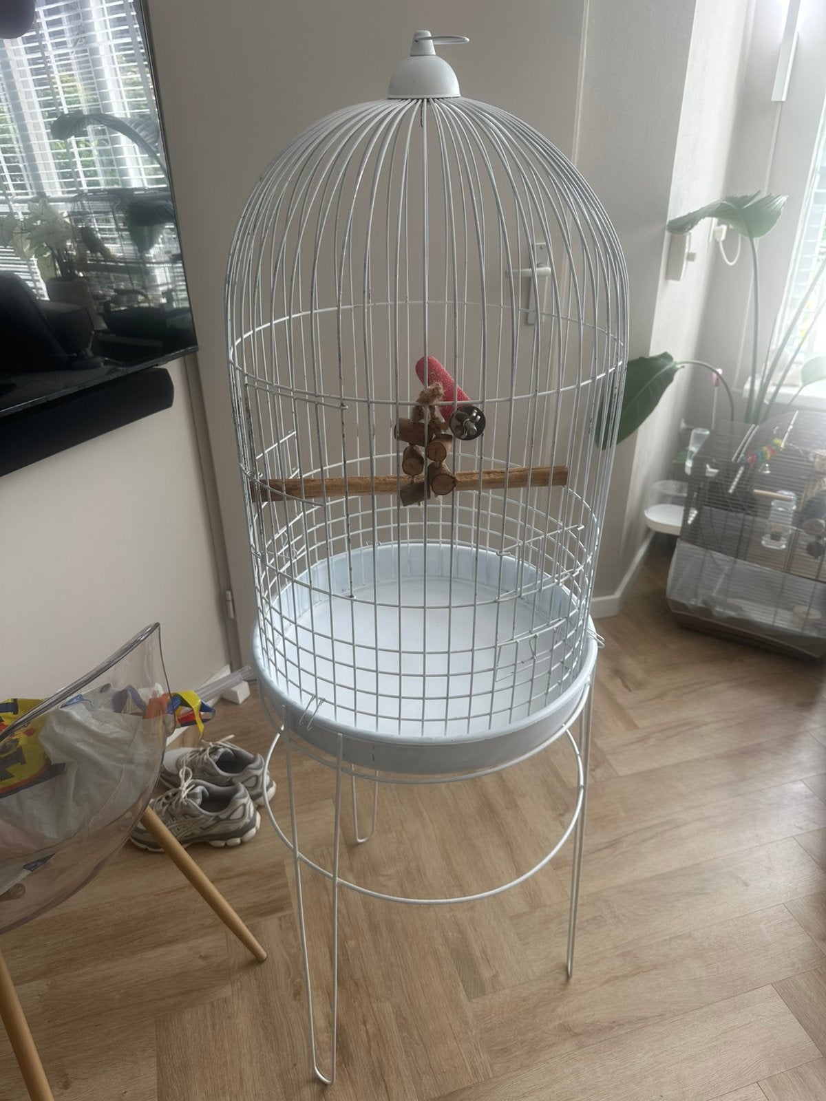 Vogelkooi op standaard, Dieren en Toebehoren, Vogels | Hokken en Kooien, Ophalen, Zo goed als nieuw, Metaal, Vogelkooi