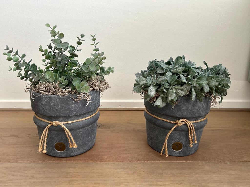 Brynxz potten opgemaakt, Huis en Inrichting, Woonaccessoires | Kunstplanten en Kunstbloemen, Ophalen, Binnen, Kunstplant, Zo goed als nieuw