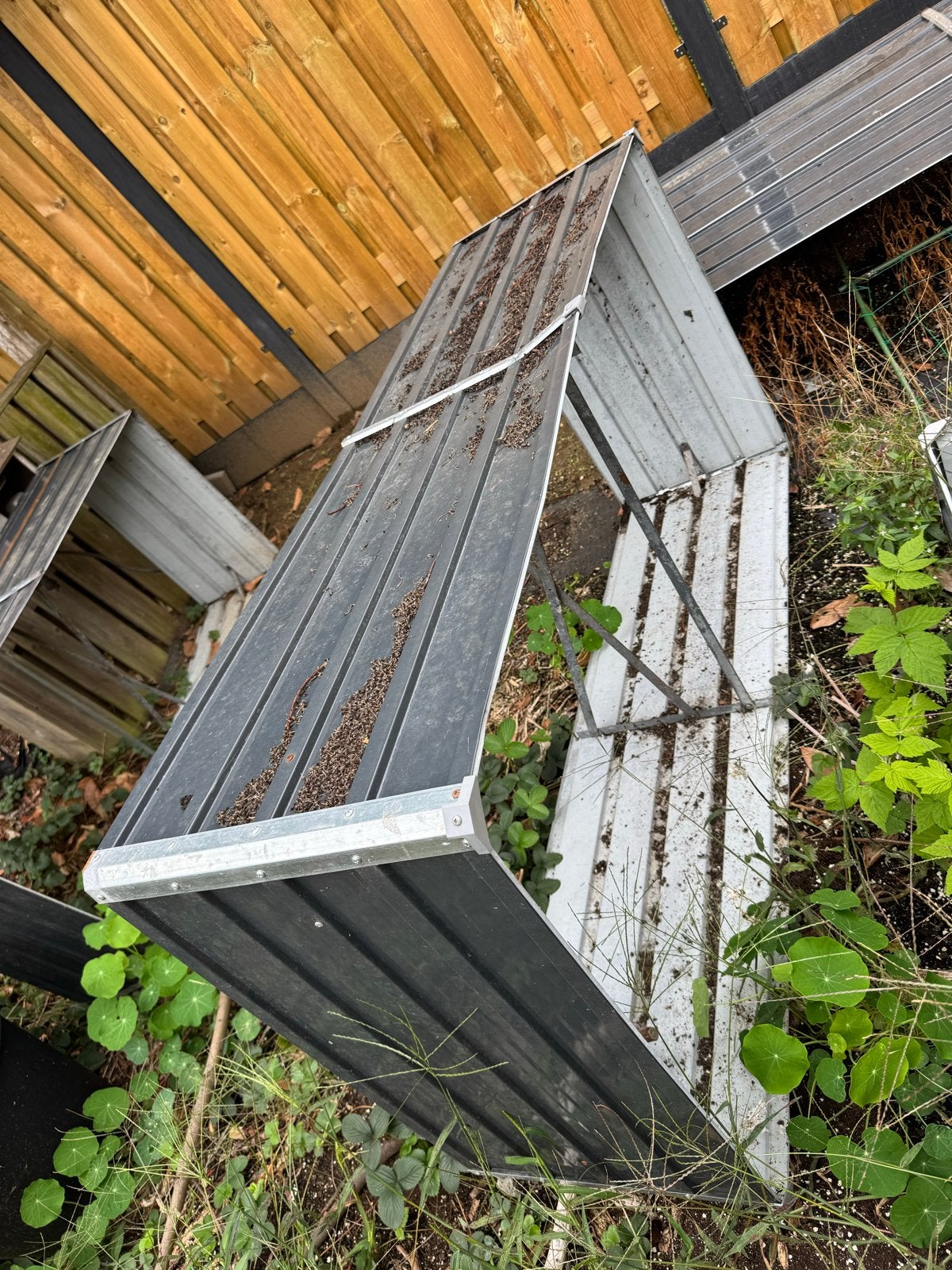 Kweekbakken voor tuin of moestuin, Tuin en Terras, Kassen, Gebruikt, Overige materialen, Kweekkas, Ophalen of Verzenden