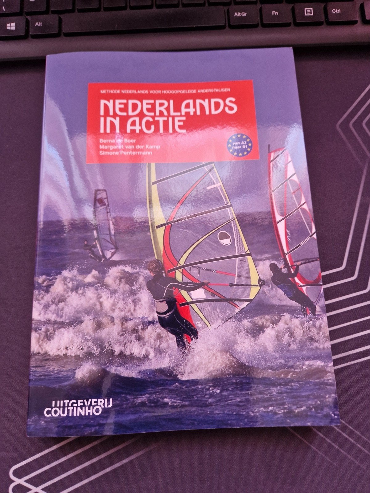 Nederlands in actie A2-B1, Boeken, Ophalen of Verzenden, Zo goed als nieuw, Berna de Boer; Margaret van der Kamp; Simone Pentermann