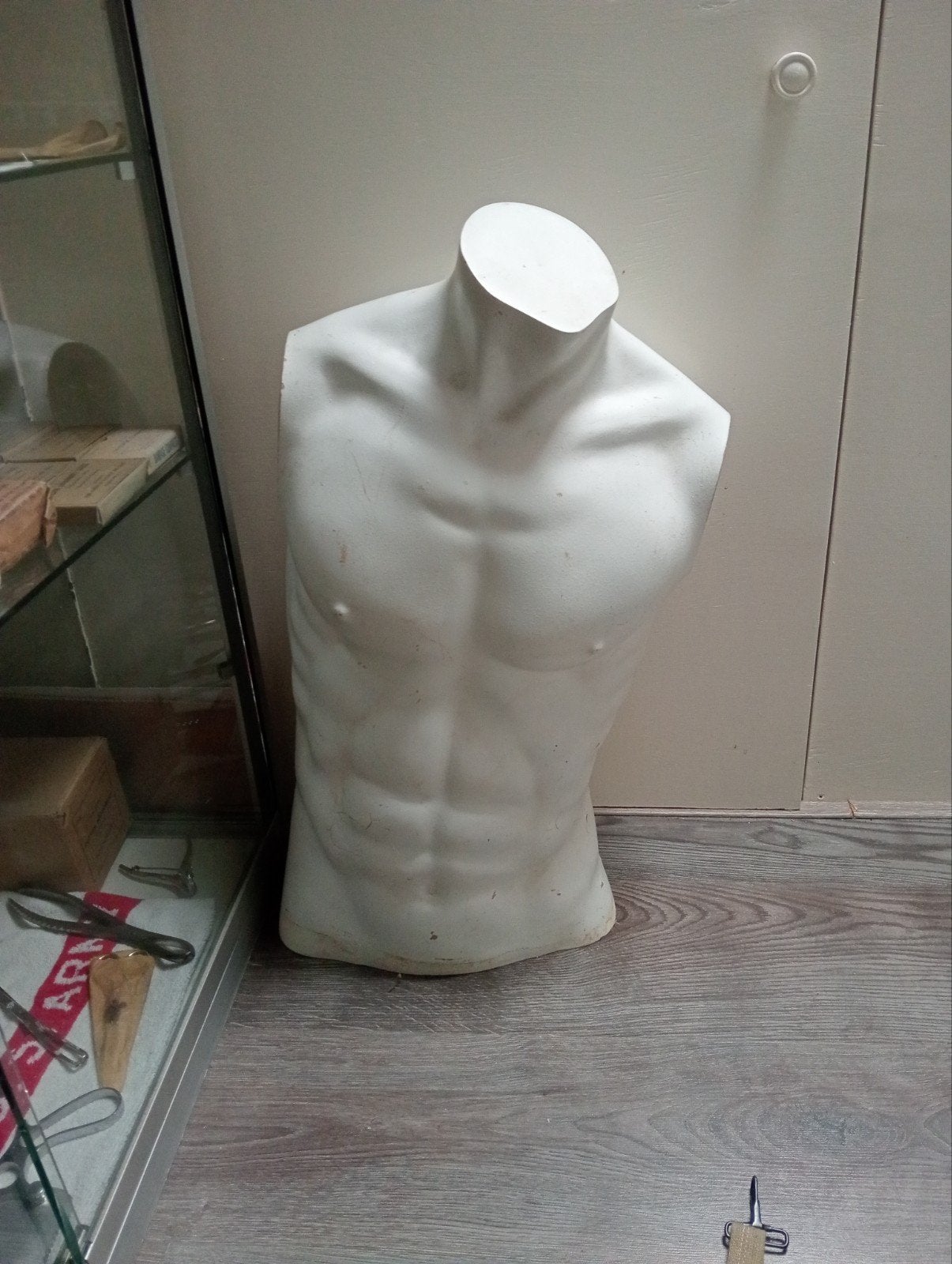 Mannelijke torso paspop - Ideaal voor presentatie, Ophalen, Gedragen, Onbekend
