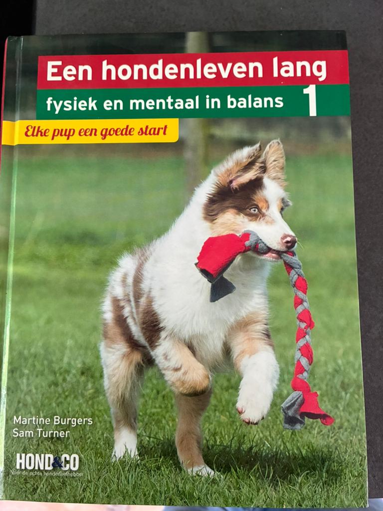 Martine Burgers - Elke pup een goede start, Honden, Ophalen of Verzenden, Zo goed als nieuw, Martine Burgers; Sam Turner