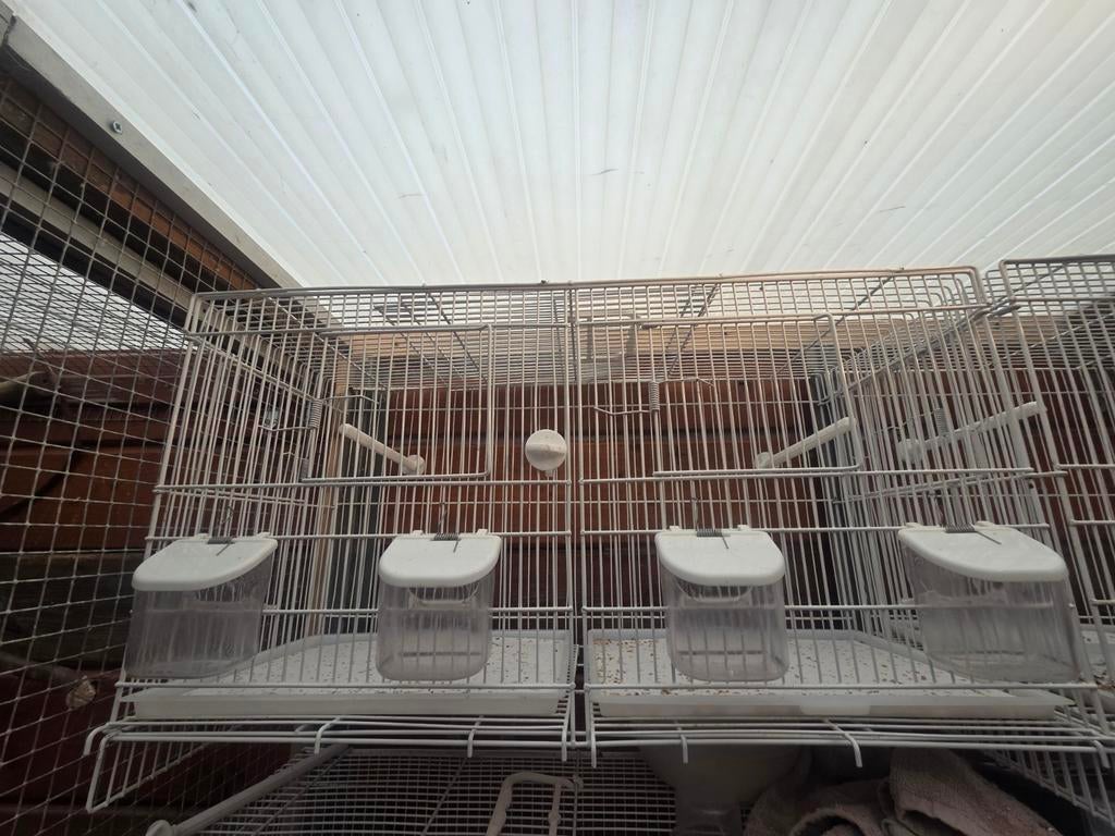 4 kooie, Dieren en Toebehoren, Ophalen of Verzenden, Hout, Vogelkooi