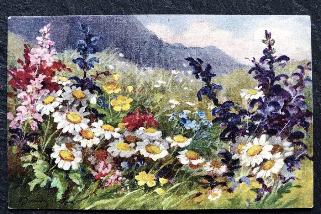 Margrieten en andere wilde almbloemen, 1933, Verzenden, 1920 tot 1940, Gelopen, Natuur