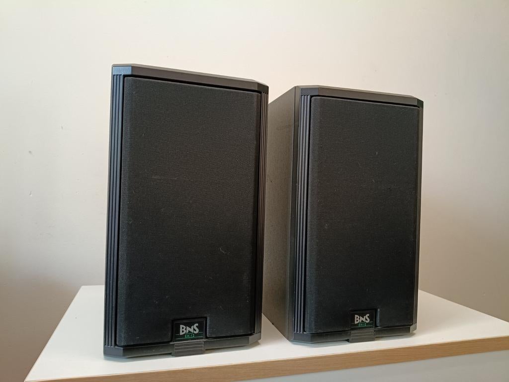 BNS EX-12 boekenplank speaker, Audio, Tv en Foto, Luidsprekers, Zo goed als nieuw, 60 tot 120 watt, Front, Rear of Stereo speakers