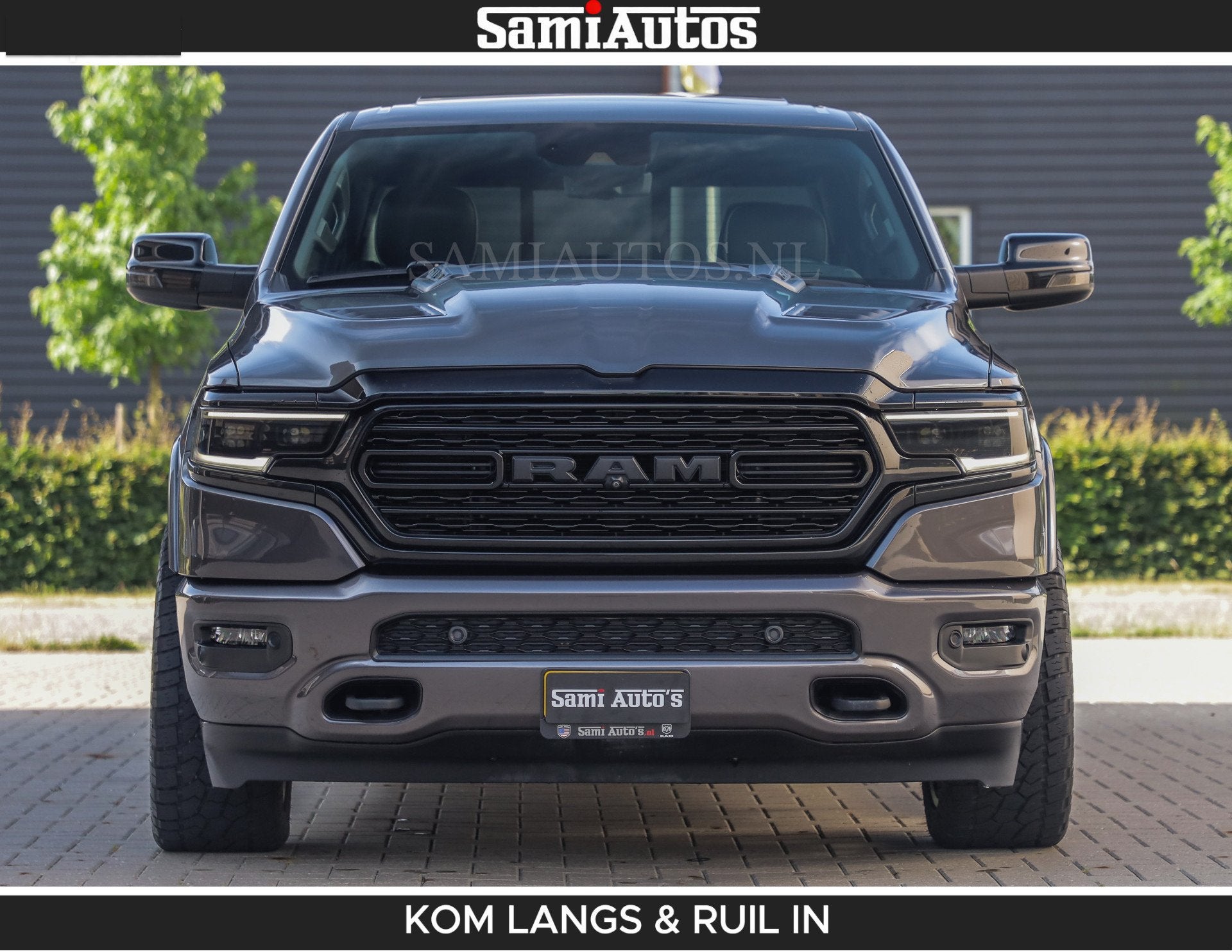 Dodge Overige Modellen
