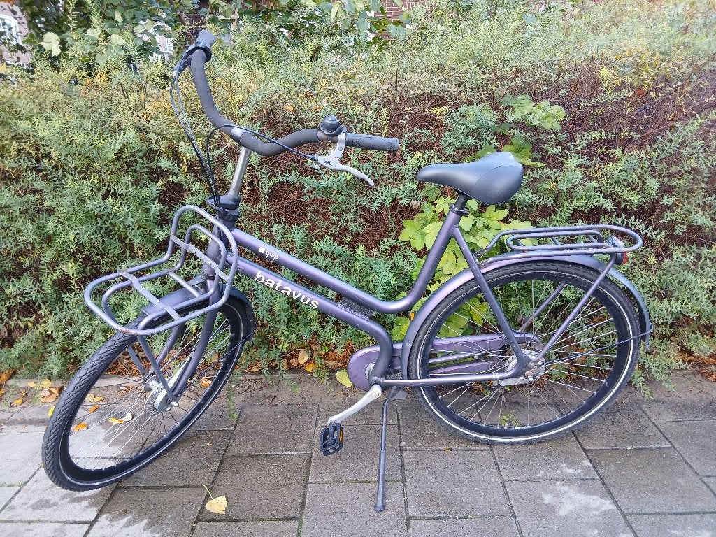 Batavus Stadsfiets (Large, Hand brakes), Ophalen, Velgrem, Batavus, 56 cm of meer