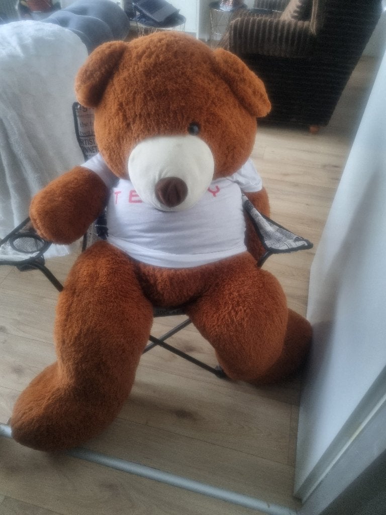 Teddy beer, Ophalen, Zo goed als nieuw, Beer, Groot (groter dan 80 cm)