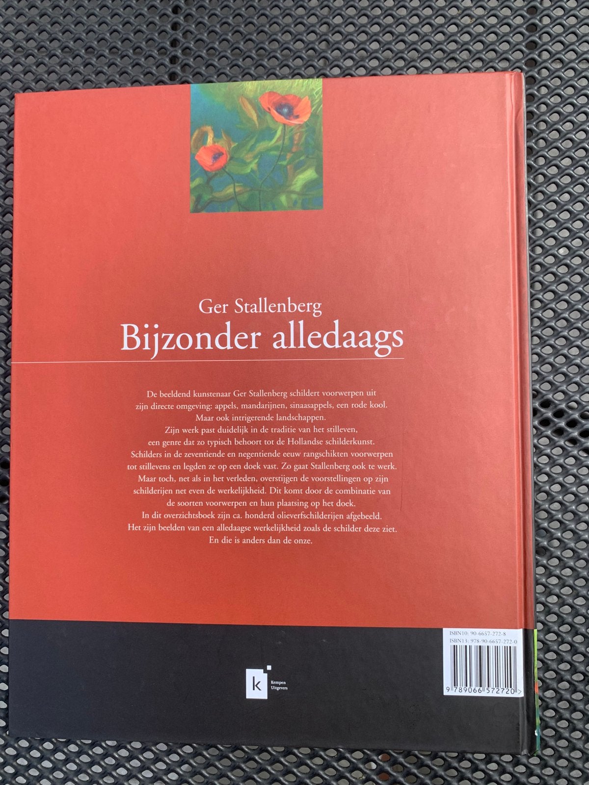 G. Stallenberg - Bijzonder alledaags, Boeken, Overige Boeken, Ophalen of Verzenden, Zo goed als nieuw, G. Stallenberg