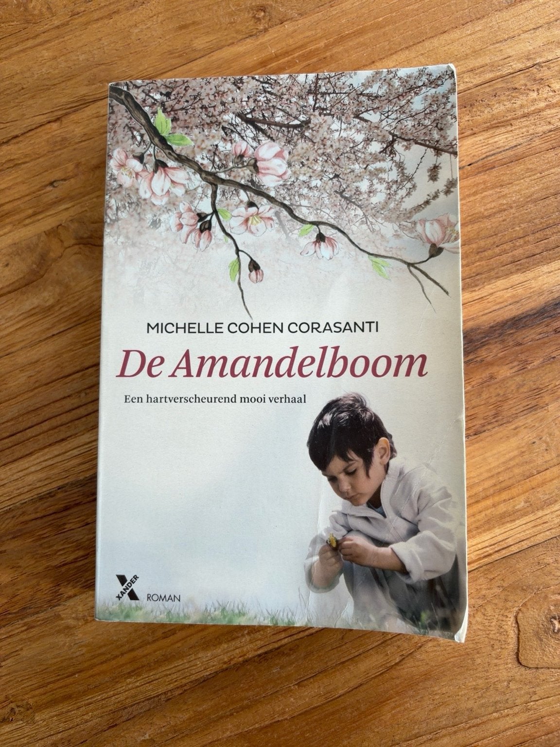 De Amandelboom - Michelle Cohen Corasanti, Ophalen of Verzenden, Gelezen, Wereld overig