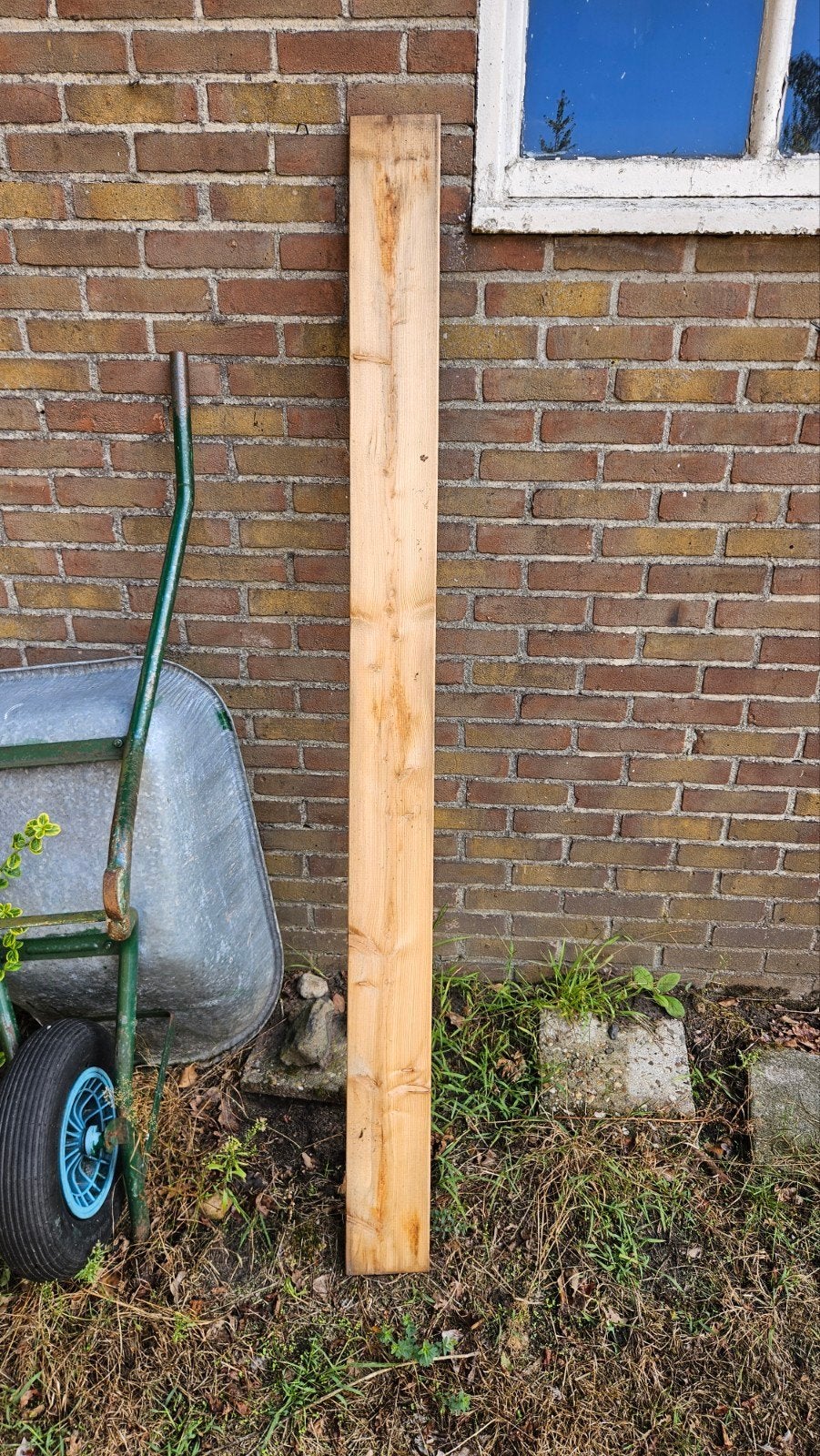 Douglas geschaafde planken 180x13,5x2,2cm voor schutting, Gebruikt, Minder dan 25 mm, Ophalen of Verzenden, Plank