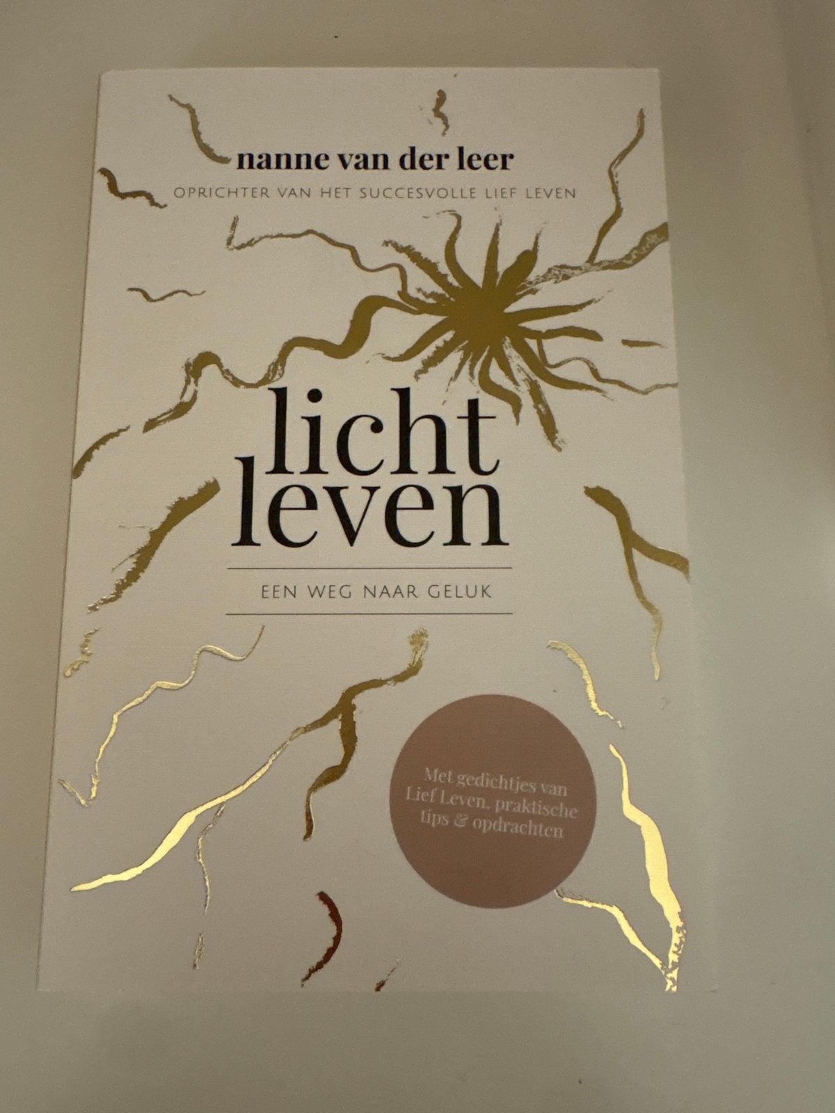 Licht Leven - Een weg naar geluk - Nanne van der Leer, Boeken, Ophalen of Verzenden, Nieuw, Nederland