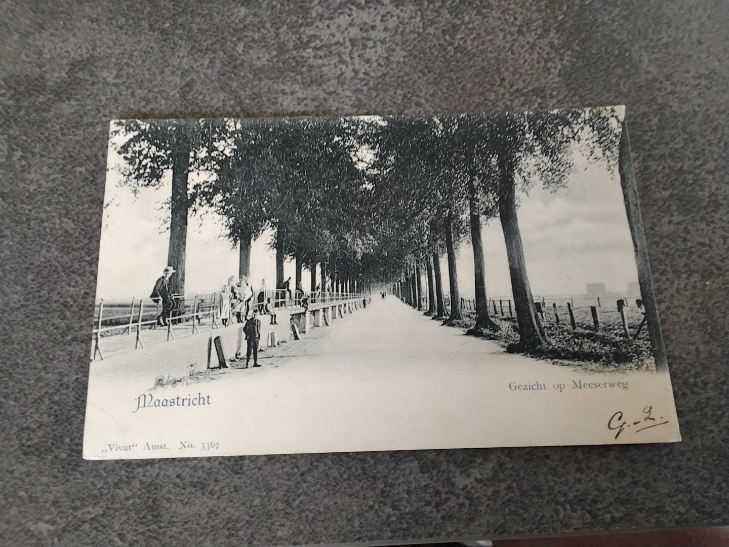 Maastricht gezicht op Meeserweg jr 1903, Verzenden, Voor 1920, Gelopen, Limburg