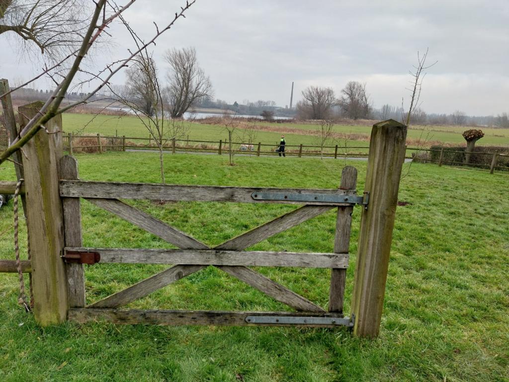 Stevig houten hekwerk / landhek voor bijv. weiland, Ophalen, Gebruikt, Hout, Tuinhek