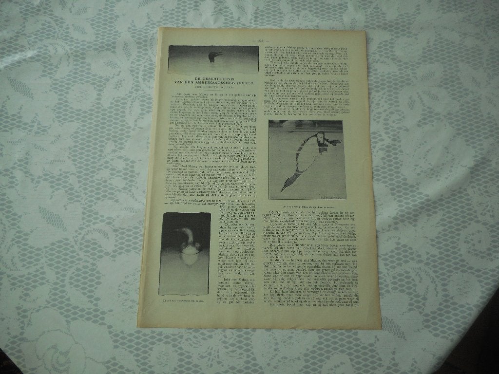 De geschiedenis van een amerikaanschen duiker. 1904., Ophalen of Verzenden, Voor 1920, Knipsel(s)